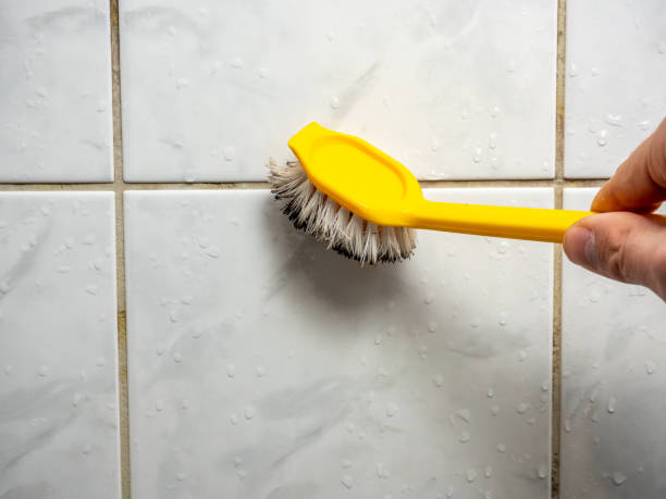 Best Mold Cleaning Services  in Mount Vernon, IN