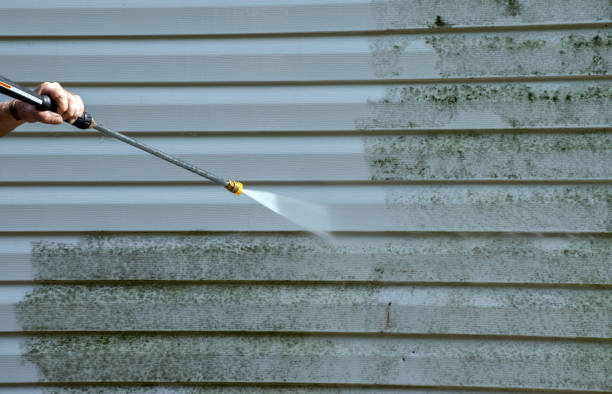 Attic Mold Removal in Mount Vernon, IN